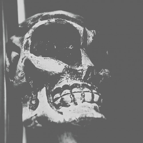 Reggae Gothic by Mayfield