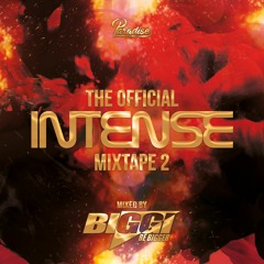 INTENSE MIXTAPE 2 Mixed By BIGGI
