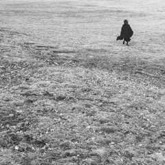 LT027 // Willrijk - Melting Blues