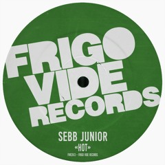 FVR2013 : Sebb Junior - Be Free (Original Mix)