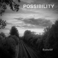 Possibility