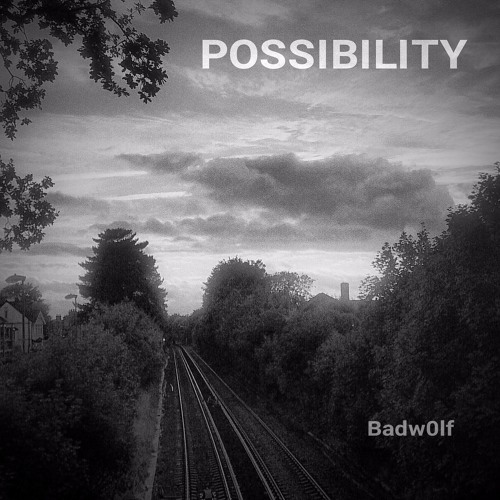 Possibility
