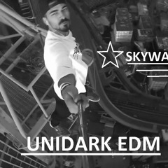UNIDARK - SKYWALKERS