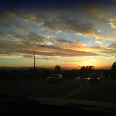 Legend of Pallet Town