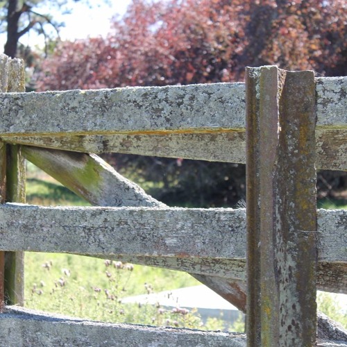 Creaky Gate, Northamptonshire, August 1973