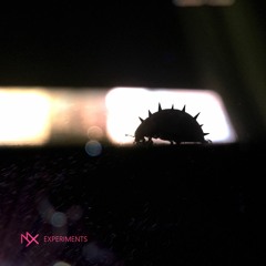 Experiment #1 (Fifteen Million Original Extended)