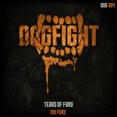 Tears Of Fury - My Fury (Radio Edit)
