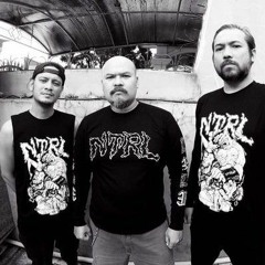 NETRAL Semuanya