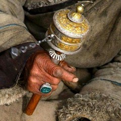 غرنی ترنم - شپونکي