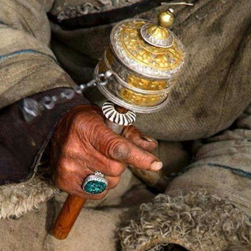 غرنی ترنم - شپونکي