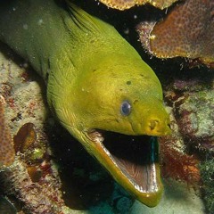 S02E03 - Det ender med grining