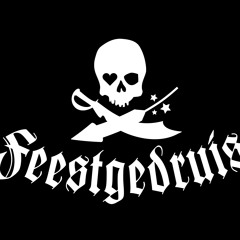 TN‘s Feestgedruis Podcast