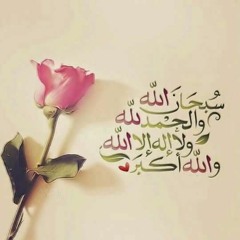 Heartsong - Talib Al Habib