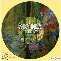 SONORA (Remix)[Cumbia House]