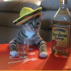 Alternative rock&indie