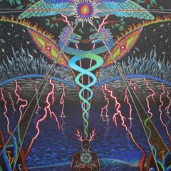 Renan Almeida - Spatial Connection - Psychedelic @Festival Kundalini 2014