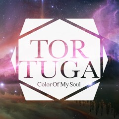 Color Of My Soul (Tortuga x Pretty Lights)
