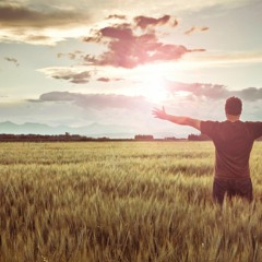 Guided Gratitude Experience