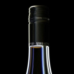 Pinot (We're Only Children X Hedon)