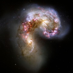 Synapse