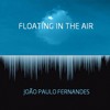 Joao Paulo Fernandes - Floating In The Air - 16. The Children Play In The Sun (Instrumental version)