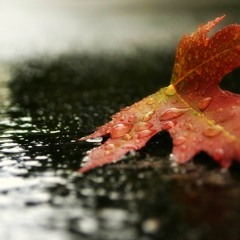 When It Rains It Pours - Edible Sound feat. Kabhi (Prod. Harlow Beats)