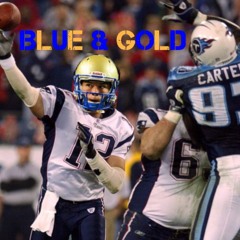 Blue and Gold (Hillgrove Diss 2016)