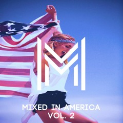 Michael Mind - Mixed In America Vol. 2