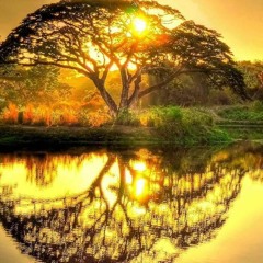 Start PLAY "My Story time" CD 1 & 2