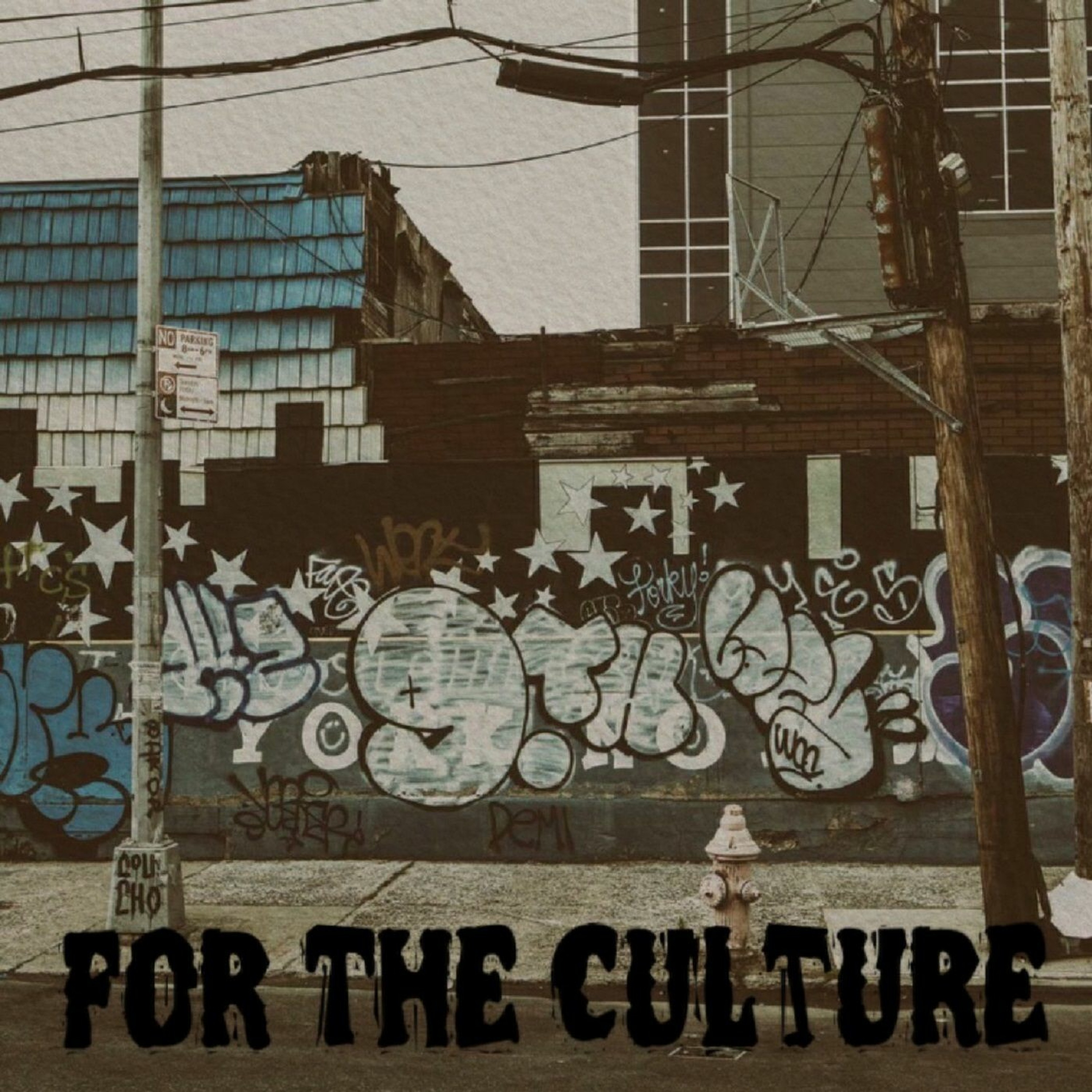 For The Culture Podcast - Episode 1 thumbnail