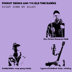 Stanley Brinks and The Old TIme Kaniks - Right Down My Alley