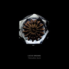 Trauma Duo -  A secret place