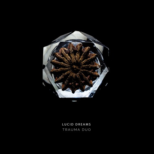 Trauma Duo -  Fly away