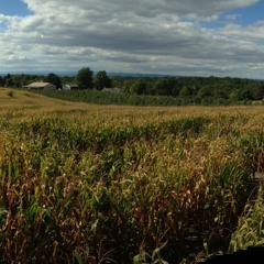 The Bird Reserve-Birds (We've Forgotten To Burn)-Instrumental-Feat. SuperNicer