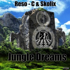 Reso-C & Skolix - Jungle Dreams (OUT Soon On ChessBoard Records)