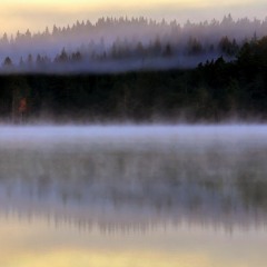 I skogen vid havet med Strömkarlen och Huldran