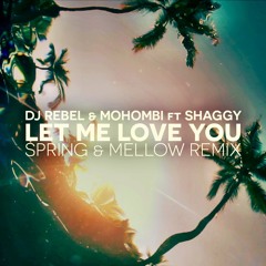 DJ Rebel & Mohombi feat. Shaggy - Let Me Love You (Spring & Mellow Remix)