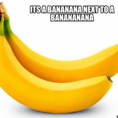 Re-Fuzz - Bananana