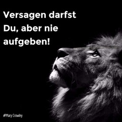 Rick_de_Ray-Versagen darfst Du,aber nie aufgeben