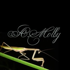 A.Molby - Богомол