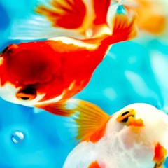 Minamo2(Royalty Free Music)