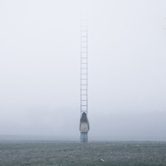 Disorder Type - The Denial Of Paradise [Free at 200 followers]