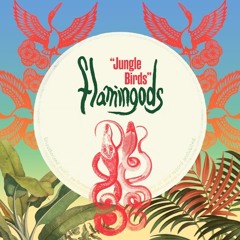 Flamingods - Jungle Birds (Ben Hayes Remix)