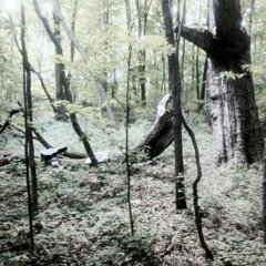 Il Ritorno D'Ulisse In Patria