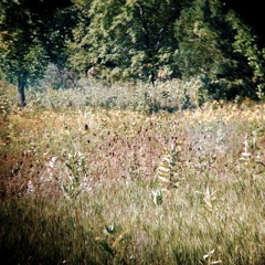 Garden Theatre Scene One