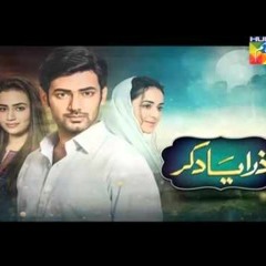 Zara Yaad Kar Full Ost By Hum TV