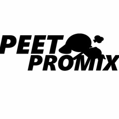 แดนซ์มันส์ๆ [Peet Promix] Wiz Khalifa - See You Again Ft. Charlie Puth [ThefunfactoryRMX] [ 135 ]