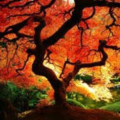 Autumn 2016