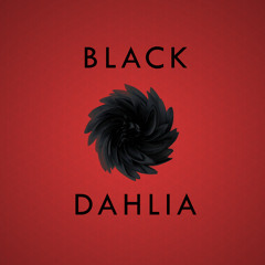 Black Dahlia