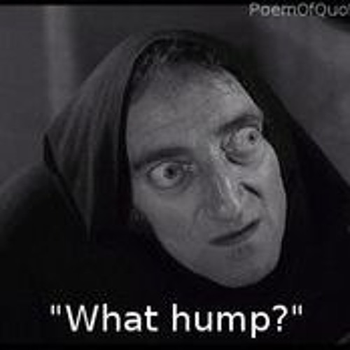 artworks-000191894381-wypuhy-t500x500.jp